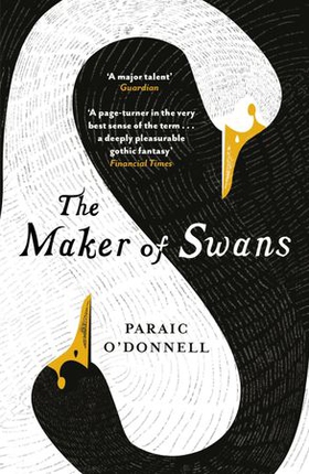 The Maker of Swans - 'A deeply pleasurable gothic fantasy' (ebok) av Paraic O'Donnell