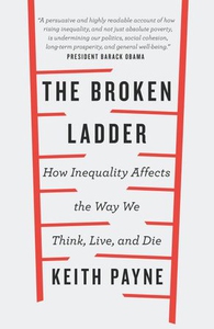 The broken ladder (ebok) av Keith Payne, Dr K