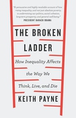 The broken ladder