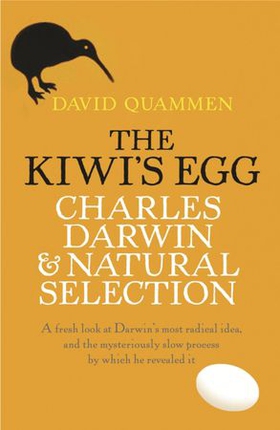 The Kiwi's Egg