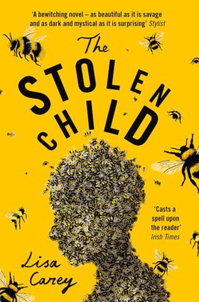 The Stolen Child (ebok) av Lisa Carey