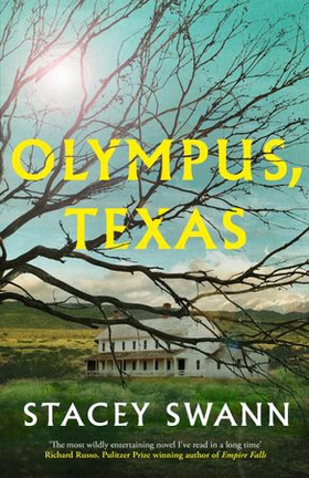 Olympus, Texas (ebok) av Stacey Swann
