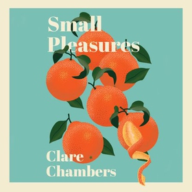 Small Pleasures - Longlisted for the Women's Prize for Fiction (lydbok) av Clare Chambers