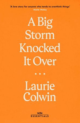A Big Storm Knocked it Over (ebok) av Laurie Colwin