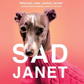 Sad Janet - 'A whip-smart, biting tragicomedy' HuffPost (lydbok) av Lucie Britsch