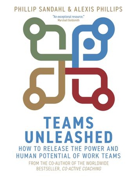 Teams Unleashed - How to Release the Power and Human Potential of Work Teams (ebok) av Phillip Sandahl