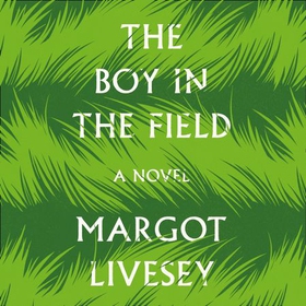 The Boy in the Field