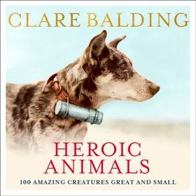 Heroic Animals - 100 Amazing Creatures Great and Small (lydbok) av Clare Balding