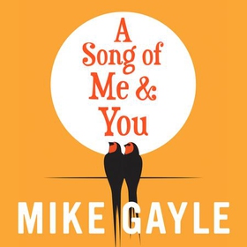 A Song of Me and You - everyone knows this rock star's name: only his first love understands his heart (lydbok) av Mike Gayle