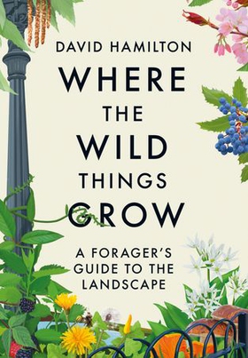 Where the Wild Things Grow - A Forager's Guide to the Landscape (ebok) av David Hamilton