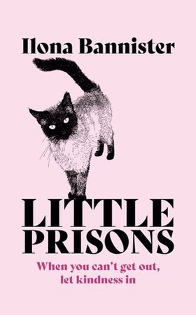 Little Prisons (ebok) av Ilona Bannister