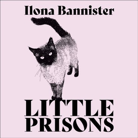 Little Prisons (lydbok) av Ilona Bannister