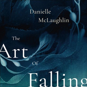 The Art of Falling (lydbok) av Danielle McLaughlin