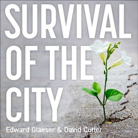 Survival of the City