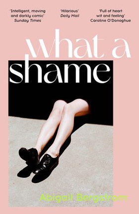 What a Shame - 'Intelligent, moving and darkly comic' The Sunday Times (ebok) av Abigail Bergstrom