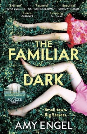 The Familiar Dark - The must-read, utterly gripping thriller you won't be able to put down (ebok) av Amy Engel