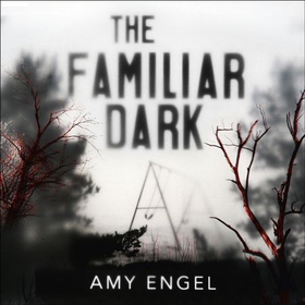 The Familiar Dark - The must-read, utterly gripping thriller you won't be able to put down (lydbok) av Amy Engel