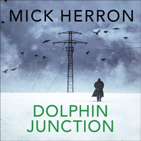 Dolphin Junction (lydbok) av Mick Herron