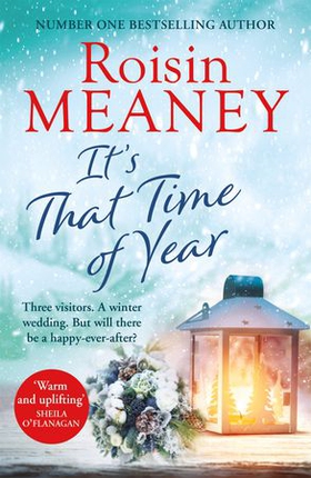 It's That Time of Year - A heartwarming festive read from the bestselling author of The Reunion (ebok) av Roisin Meaney