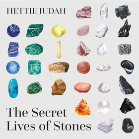 The Secret Lives of Stones - 'A real cabinet of curiosities' SUNDAY TIMES (lydbok) av Hettie Judah