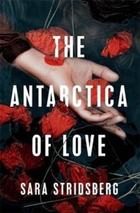 The Antarctica of Love (ebok) av Sara Stridsb