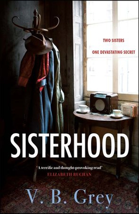 Sisterhood - A heartbreaking mystery of family secrets and lies (ebok) av V. B. Grey
