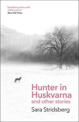 Hunter in Huskvarna (ebok) av Sara Stridsberg