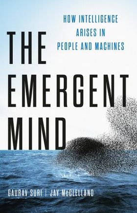 The Emergent Mind