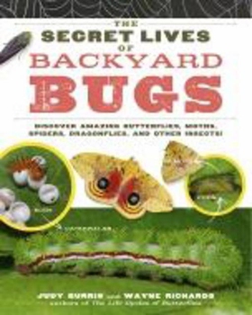 The Secret Lives of Backyard Bugs