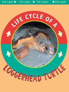 Loggerhead Turtle (e-bok) av Jason Cooper