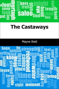 The Castaways (e-bok) av Mayne Reid