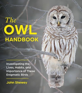 The Owl Handbook - Investigating the Lives, Habits, and Importance of These Enigmatic Birds (ebok) av John Shewey