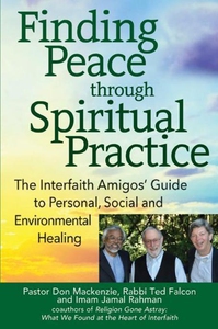 Finding Peace through Spiritual Practice (e-bok