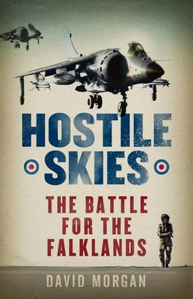Hostile Skies (ebok) av David Morgan