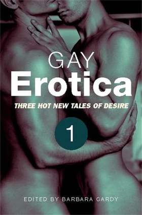 Gay Erotica, Volume 1 (ebok) av James Hunt