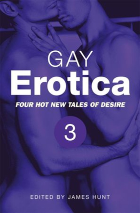 Gay Erotica, Volume 3 (ebok) av James Hunt