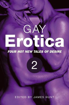 Gay Erotica, Volume 2 (ebok) av James Hunt