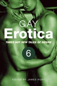 Gay Erotica, Volume 6