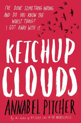 Ketchup Clouds (ebok) av Annabel Pitcher