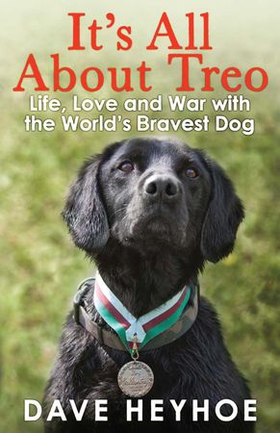 It's All About Treo - Life and War with the World's Bravest Dog (ebok) av Damien Lewis