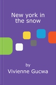 New york in the snow
