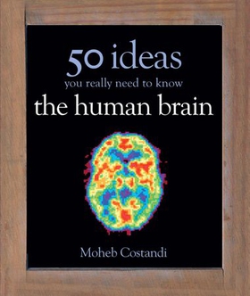 50 Human Brain Ideas You Really Need to Know