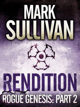 Rendition (ebok) av Mark Sullivan