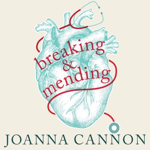 Breaking and Mending (lydbok) av Joanna Canno