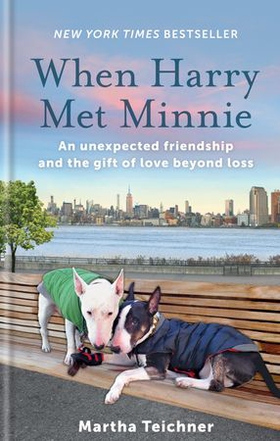 When Harry Met Minnie - An unexpected friendship and the gift of love beyond loss (ebok) av Martha Teichner