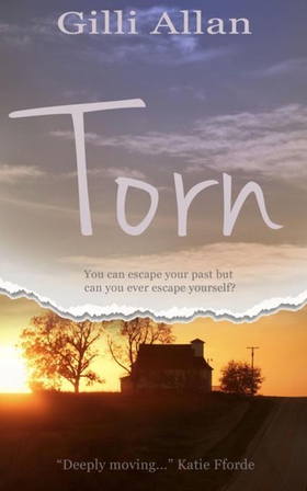 Torn (ebok) av Gilli Allan