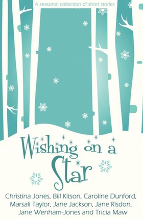 Wishing on a Star (ebok) av Christina Jones