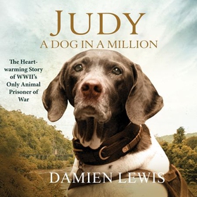 Judy: A Dog in a Million