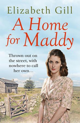 A Home for Maddy - A Family Feud. A Forbidden Love (ebok) av Elizabeth Gill