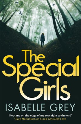 The Special Girls - A devastating crime thriller with a heart-wrenching twist (ebok) av Isabelle Grey